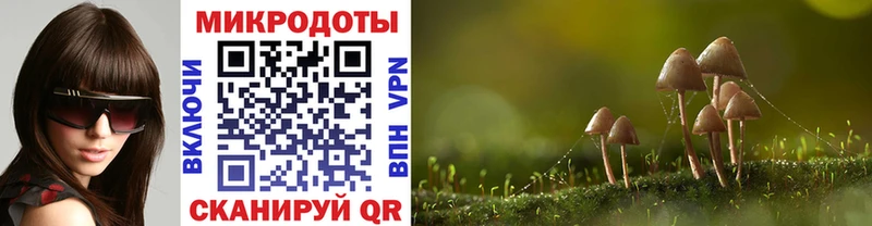 Галлюциногенные грибы GOLDEN TEACHER  купить наркоту  Давлеканово 